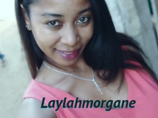 Laylahmorgane