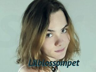 Lilblossompet