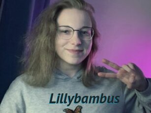 Lillybambus