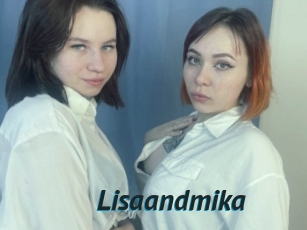 Lisaandmika