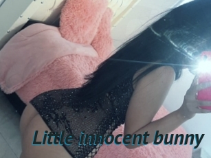 Little_innocent_bunny