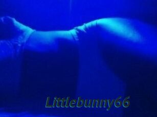 Littlebunny66