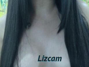 Lizcam