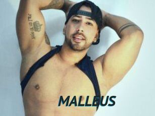 MALLEUS