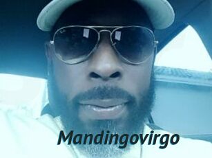 Mandingovirgo