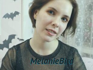 MelanieBird