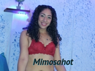 Mimosahot