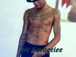 Mr_Savagelee