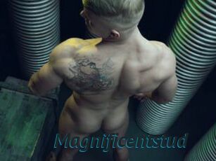 Magnificentstud