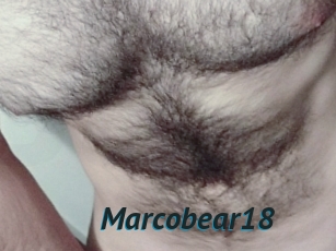 Marcobear18