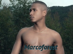 Marcoforest