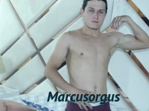 Marcusorgus