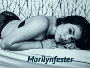 Marilynfester