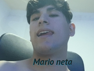 Mario_neta