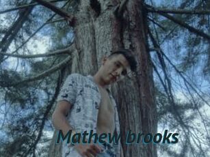 Mathew_brooks