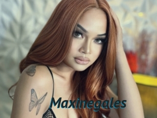 Maxinegales