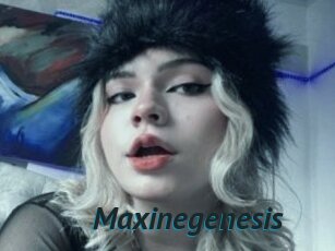 Maxinegenesis