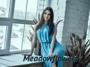 Meadowflowers