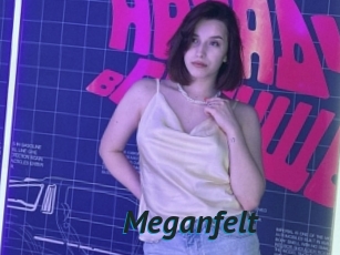 Meganfelt