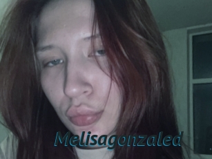 Melisagonzaled