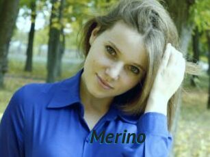 Merino