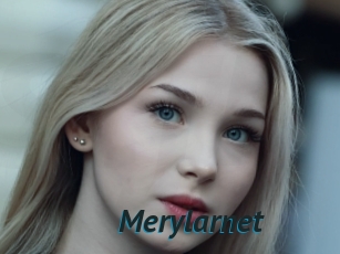 Merylarnet