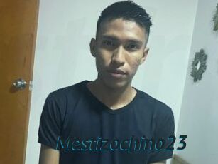 Mestizochino23