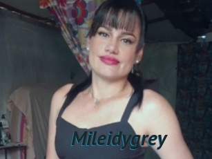 Mileidygrey