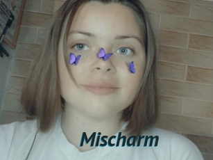 Mischarm