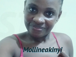 Mollineakinyi