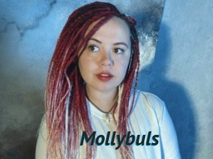 Mollybuls