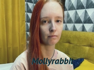 Mollyrabbit