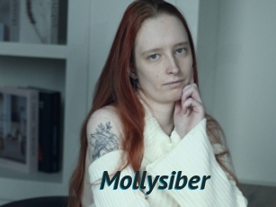 Mollysiber