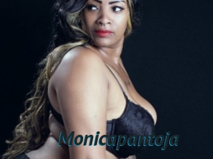 Monicapantoja