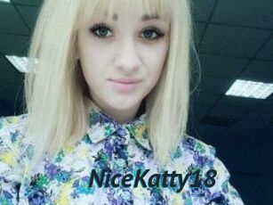 NiceKatty18