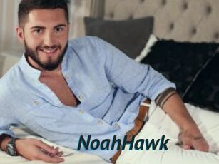 NoahHawk