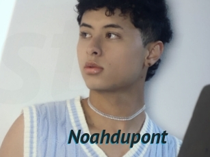 Noahdupont