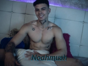 Noahmush