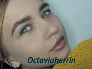 Octaviaherrin