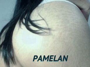 PAMELA_N