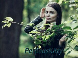 Perilous_Kitty