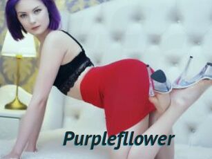 Purplefllower