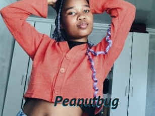 Peanutbug