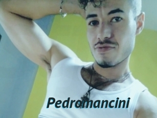 Pedromancini