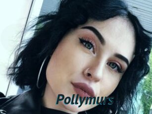 Pollymurs