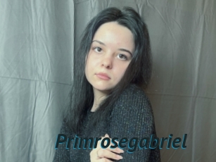 Primrosegabriel