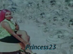 Princess23