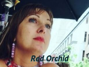 Red_Orchid