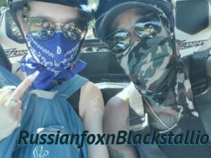 RussianfoxnBlackstallion