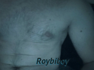 Roybiboy